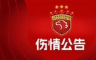 海港官方：颜骏凌左踝韧带撕裂，预计伤缺2-3周。
